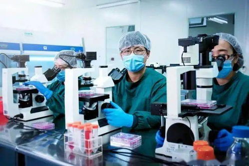 基因编辑疗法破冰,生物基材料技术助力医疗新篇章