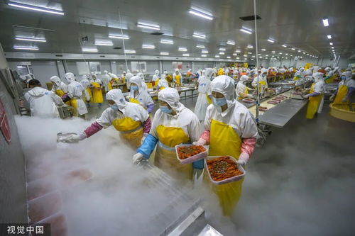 1折临期食品的安全性探讨与生物基材料技术的研发进展